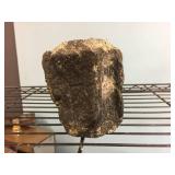 Primitive Whale Vertebrae