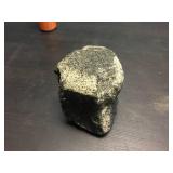 Primitive Whale Vertebrae