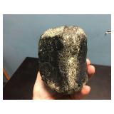 Primitive Whale Vertebrae