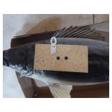 Walleye Mount