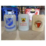 17 Beer Steins