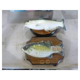 2 Playful Animated Mounted Fish