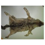 Wolf fur pelt rug or wall decor...