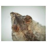 Wolf fur pelt rug or wall decor...