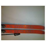 Olinda Mark IV Cross country skis...