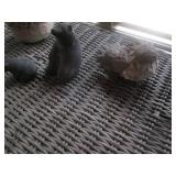 2 Wicker chairs and a matching tabl...