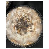 D - 2 Rocky Mountain Sea Salt Caramel Chocolate CrÃ¨me Pies - 26 oz each (frozen)