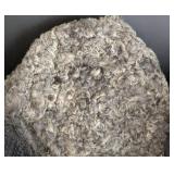 Variety of Vintage Women