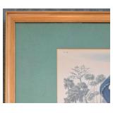 Framed 1990s Louisiana Heron by Audubon, Print