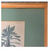 Framed 1990s Louisiana Heron by Audubon, Print