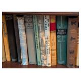 Large Assortment of Vintage Books