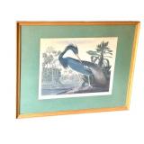 Framed 1990s Louisiana Heron by Audubon, Print