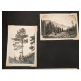 Vintage/Antique Photographs, Cards and Albums