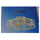 Hueoczw 20" Caged Ceiling Fan with Lights and Remote