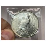 1924 Peace Silver Dollar
