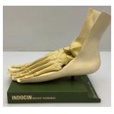 Vintage INDOCIN (Indomethacin/MSD) Anatomical Foot Model 8" L x 7 1/2" H x 4 1/2" Wide