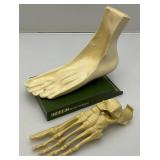 Vintage INDOCIN (Indomethacin/MSD) Anatomical Foot Model 8" L x 7 1/2" H x 4 1/2" Wide