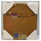 Framed Behind Glass ELVIS PRESLEY Stamp & Stamp Print (Factory Sealed)