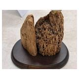 Home Décor - Seagull On The Rocks