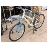 Roadmaster 20" Women