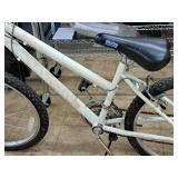 Roadmaster 20" Women