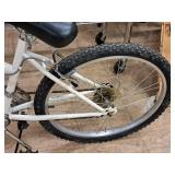 Roadmaster 20" Women