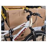 Schwinn Aluminum 22" Women