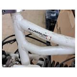 Schwinn Aluminum 22" Women