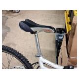 Schwinn Aluminum 22" Women