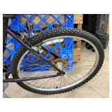 Schwinn Sidewinder 22" Men