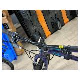 Liv Enchant 20" Women