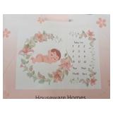 Lot of (8) Houseware Homes Baby Milestone Blankets - Girl