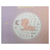 Lot of (8) Houseware Homes Baby Milestone Blankets - Girl