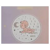 Lot of (20) Houseware Homes Unisex Baby Milestone Blankets