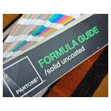 Lot of (6) Assorted Color Swatch Books