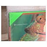 Lot of (2 Packs) Labels | 60# | Green Fluorescent 8-1/2"x11" 100-count ( 200 Total Items ) - Lindenmeyr Label LL9619