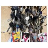 Bulk Lot of Key Blanks and Assorted House Keys