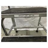 MSRP $1000 Heavy Duty Bariatric Dual Platform Step– Chrome Steel Frame, Skid-Resistant Rubber Mats, 600 lb Capacity! Handrail for Extra Support & Safety – Built Tough for Clinical & Home Use!