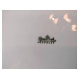 75 pc. Set of Rosenthal Classic Rose Germany China