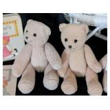 American Girl Bitty Baby Bears and Books!