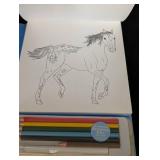 American Girl Kaya Books, Cards and Drawing Kit