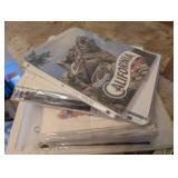 Large Variety of Disney Magazines and Literature