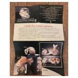 Royal Crown Derby Imari Chipmunk Paperweight