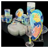 Summer Vibes Fish Kitchenware Decor