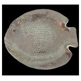 Summer Vibes Fish Kitchenware Decor