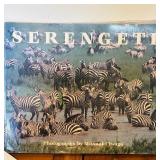 African Souvenir Treasures including Hand Carved Animals, Informational Books, Candle Holders and More!