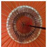 Beautiful Vintage Umbrella