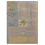 The Territory of Hong Kong Vintage Framed Map
