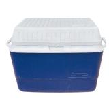 Blue and White Rubbermaid Cooler