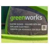 Greenworks Electric Blower/Mulcher with Bag